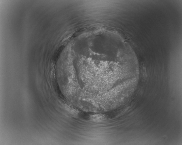 X0000076030511200610201831