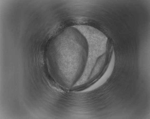 X0000076030512200610201831