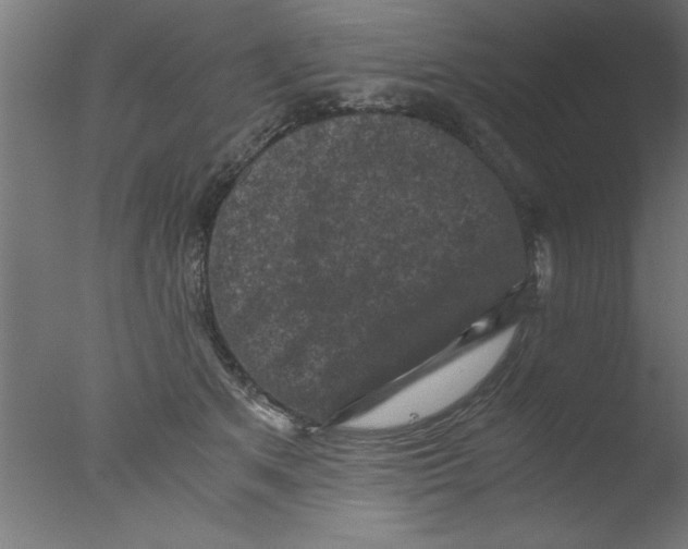 X0000076030513200610201830