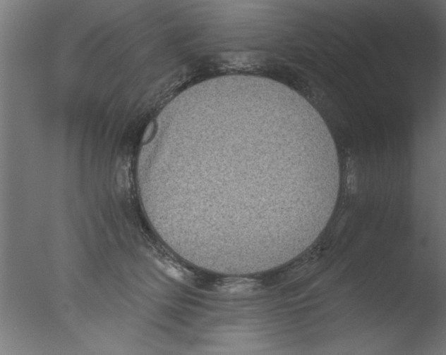 X0000076030514200610201830