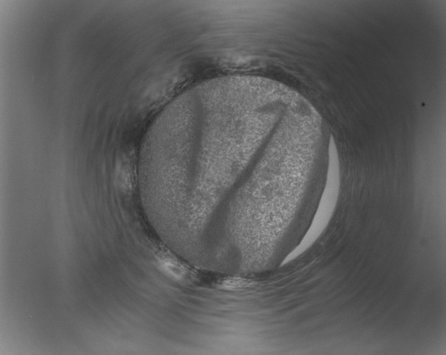 X0000076030515200610201830