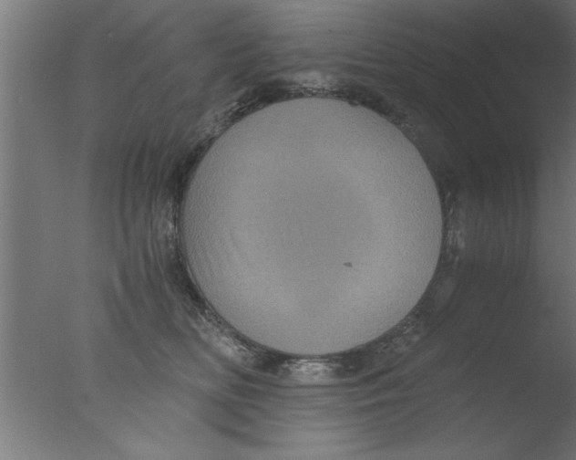 X0000076030518200610201830