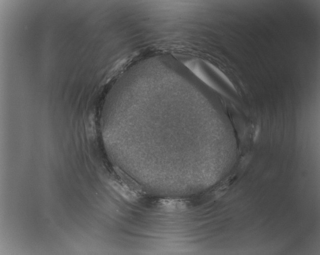 X0000076030520200610201830