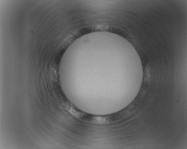 X0000076030522200610201830