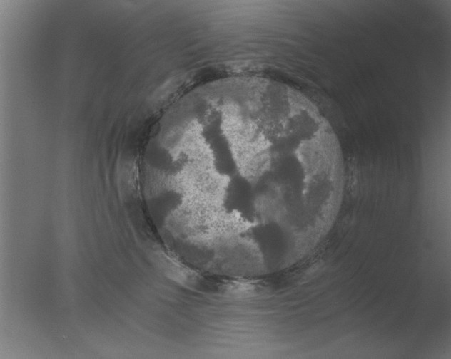 X0000076030523200610201830