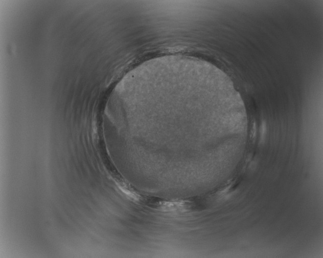 X0000076030524200610201830