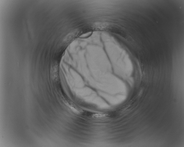 X0000076030526200610201830