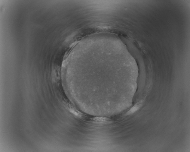 X0000076030528200610201830