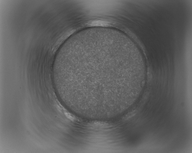 X0000076030529200610201829