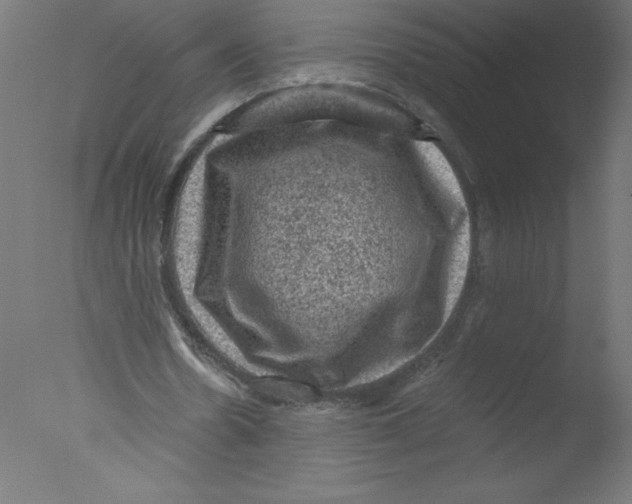 X0000076030530200610201829