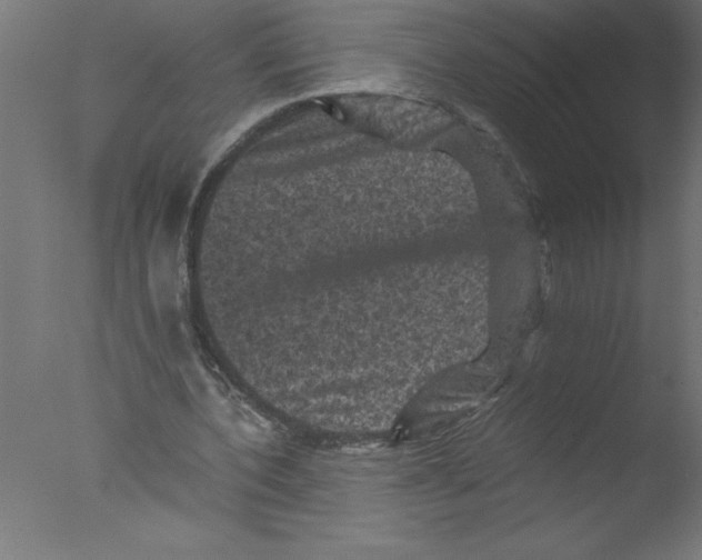 X0000076030532200610201829