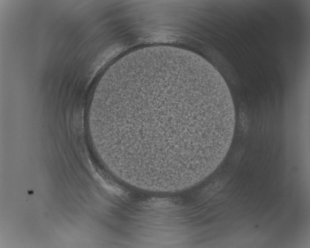 X0000076030534200610201830