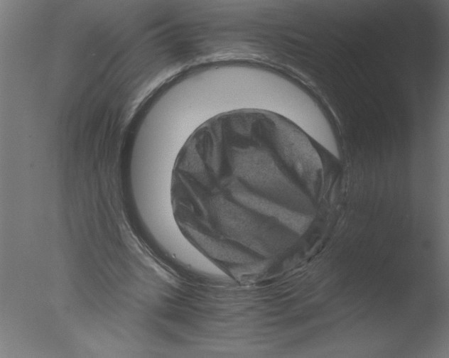 X0000076030535200610201830