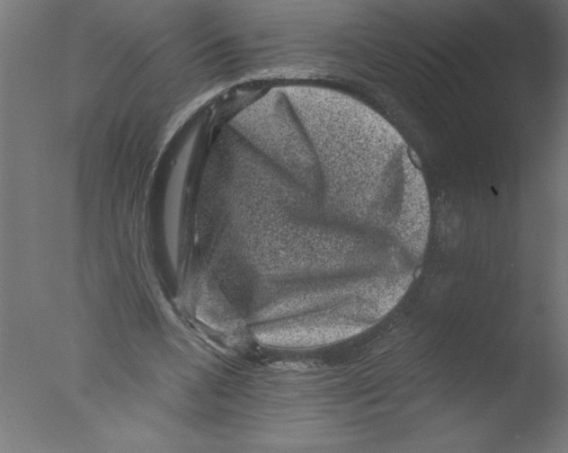 X0000076030536200610201830