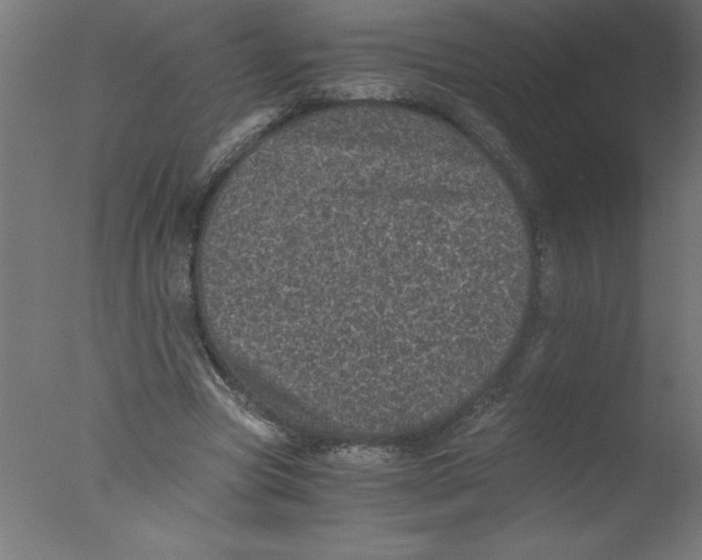 X0000076030537200610201830