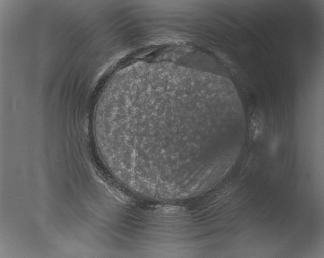 X0000076030539200610201830