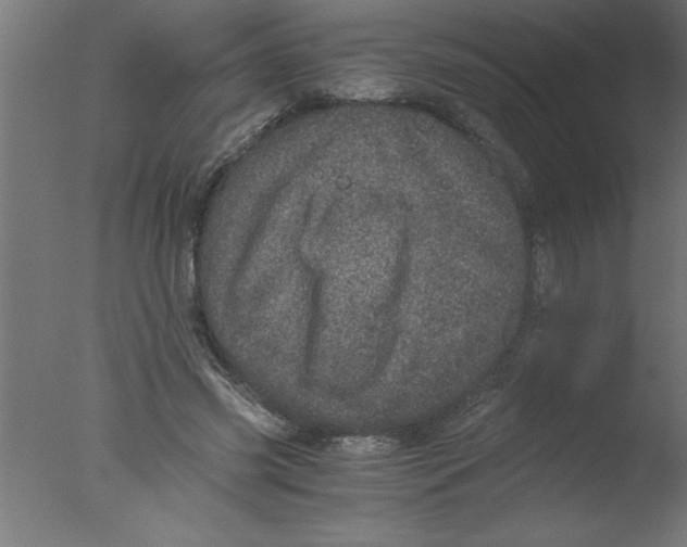 X0000076030541200610201830