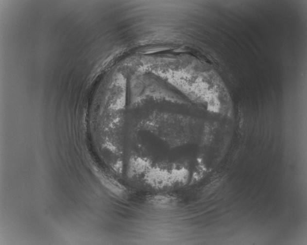 X0000076030542200610201830