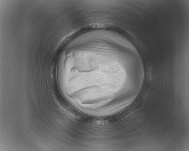 X0000076030543200610201830