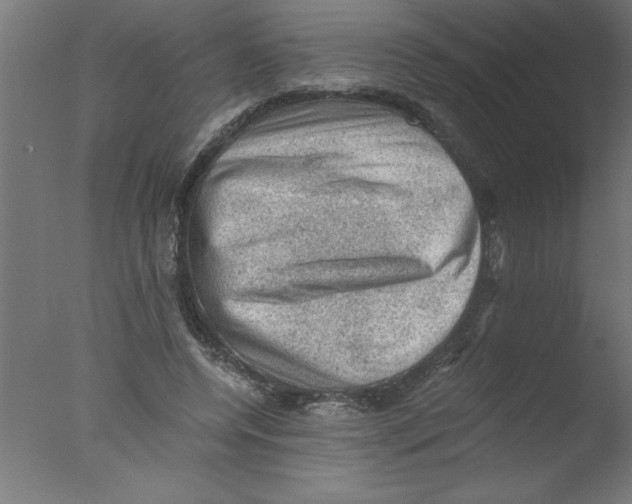 X0000076030544200610201830