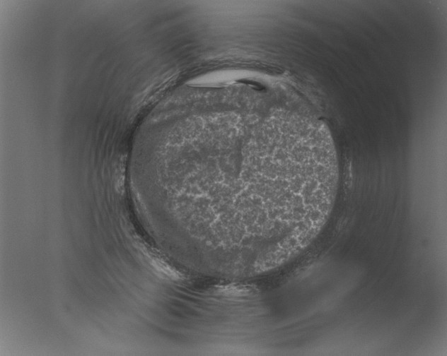 X0000076030545200610201830