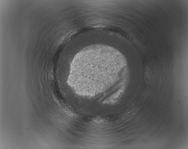 X0000076030547200610201830