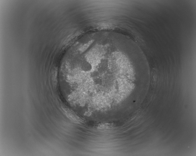 X0000076030550200610201830