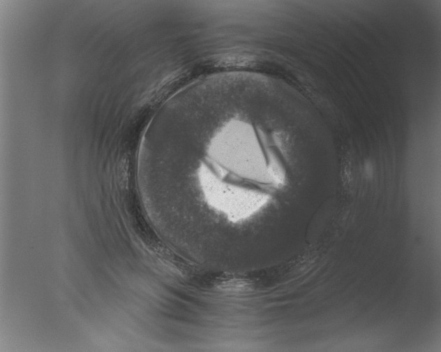 X0000076030551200610201830