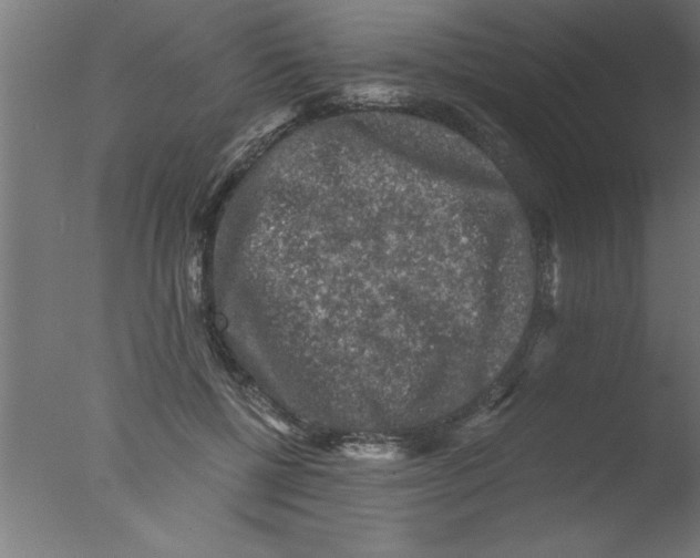 X0000076030552200610201830