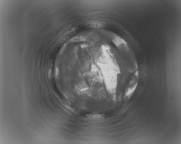 X0000076030553200610201830