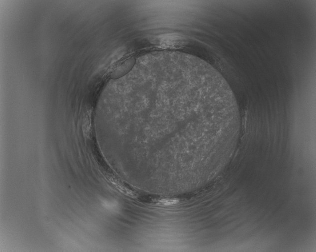 X0000076030554200610201830