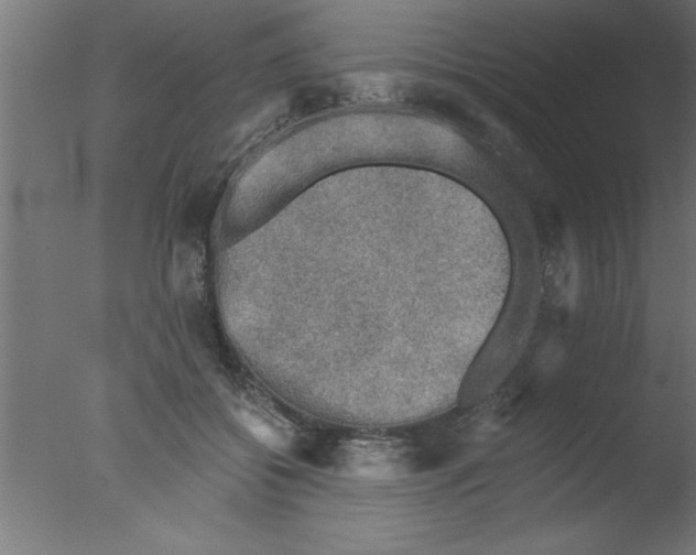 X0000076030556200610201830