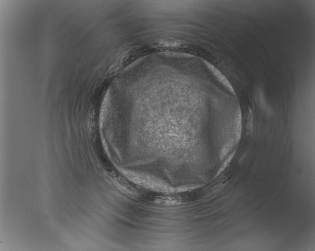 X0000076030559200610201830