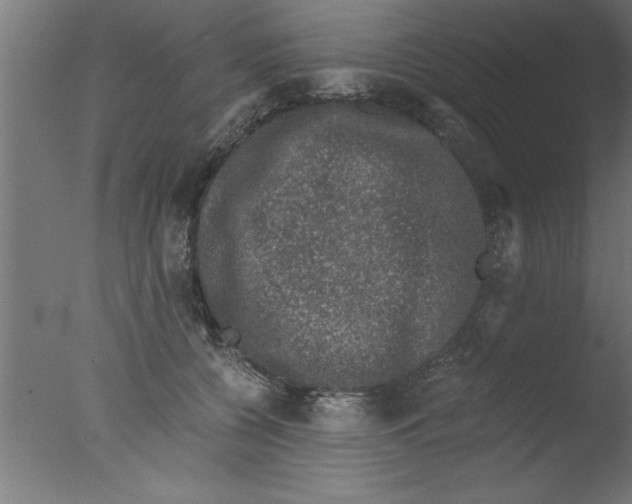 X0000076030560200610201830