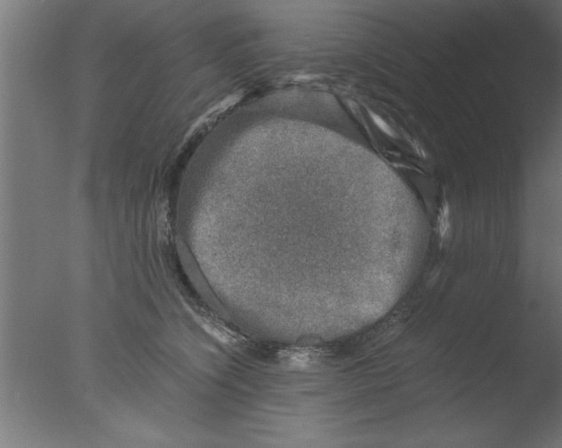 X0000076030564200610201830