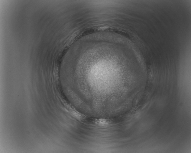 X0000076030565200610201830