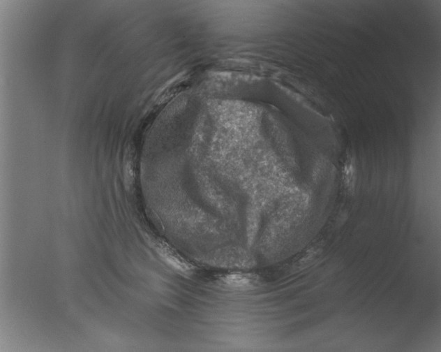 X0000076030566200610201830