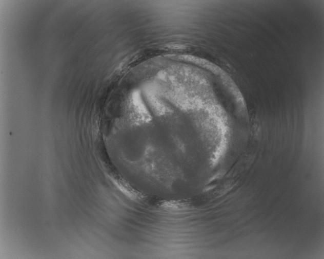 X0000076030568200610201830