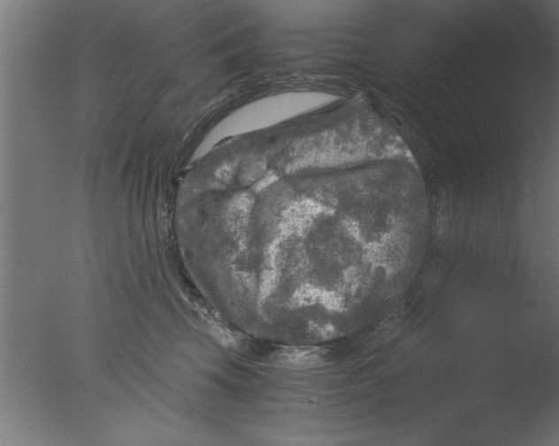 X0000076030569200610201830