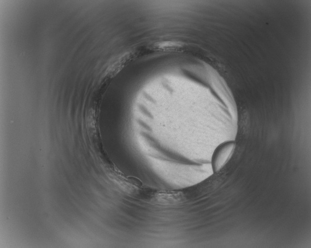 X0000076030571200610201830