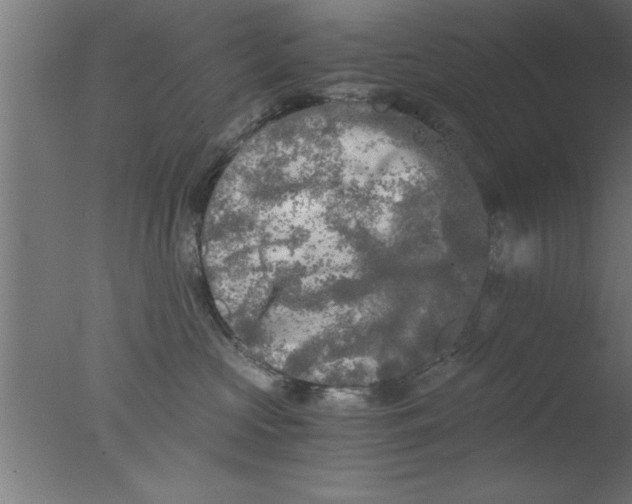 X0000076030573200610201830