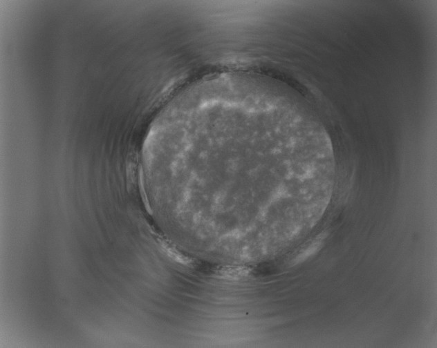 X0000076030576200610201830