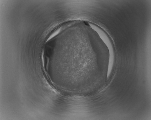 X0000076030577200610201829