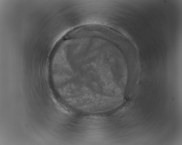 X0000076030580200610201829