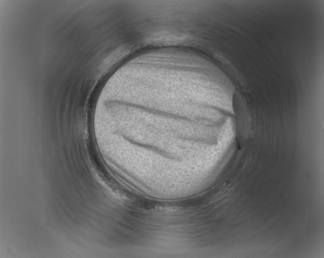 X0000076030582200610201829