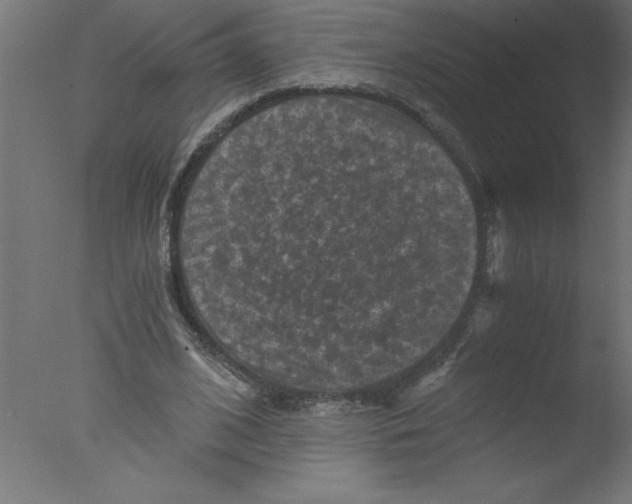 X0000076030584200610201829