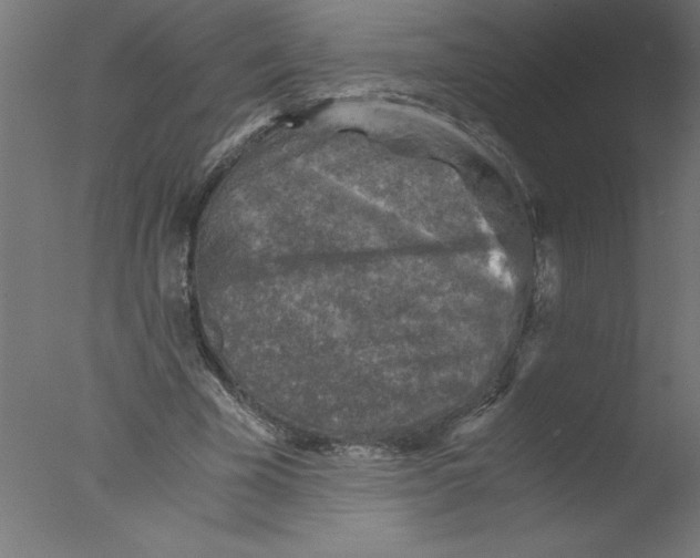 X0000076030585200610201829