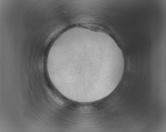 X0000076030586200610201829