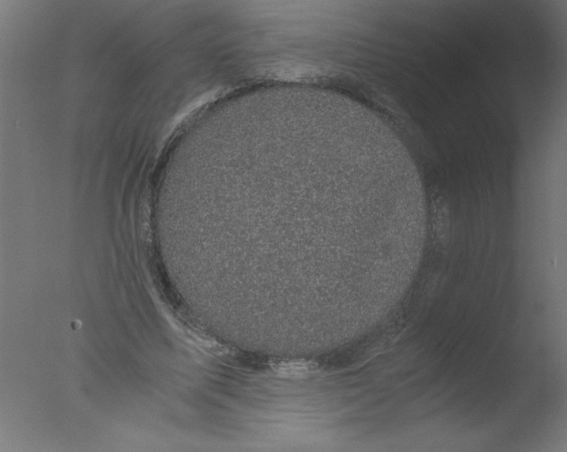 X0000076030587200610201829