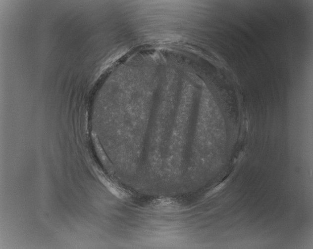 X0000076030589200610201829